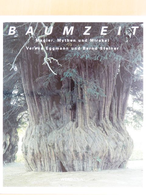 Bernd Steiner - Baumzeit [antikvár]