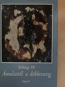 Toldalagi Pál - Ámulattól a döbbenetig [antikvár]