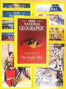 Don Belt - National Geographic 1999. (nem teljes évfolyam) [antikvár]