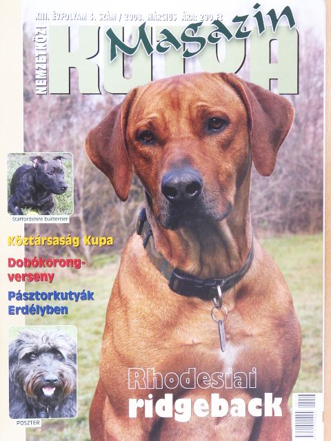 Nemzetközi Kutya Magazin 2008. március [antikvár]