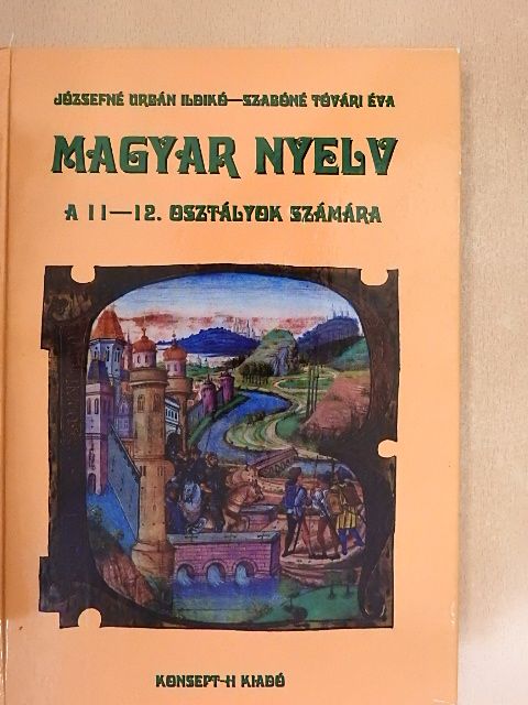 Józsefné Urbán Ildikó - Magyar nyelv [antikvár]