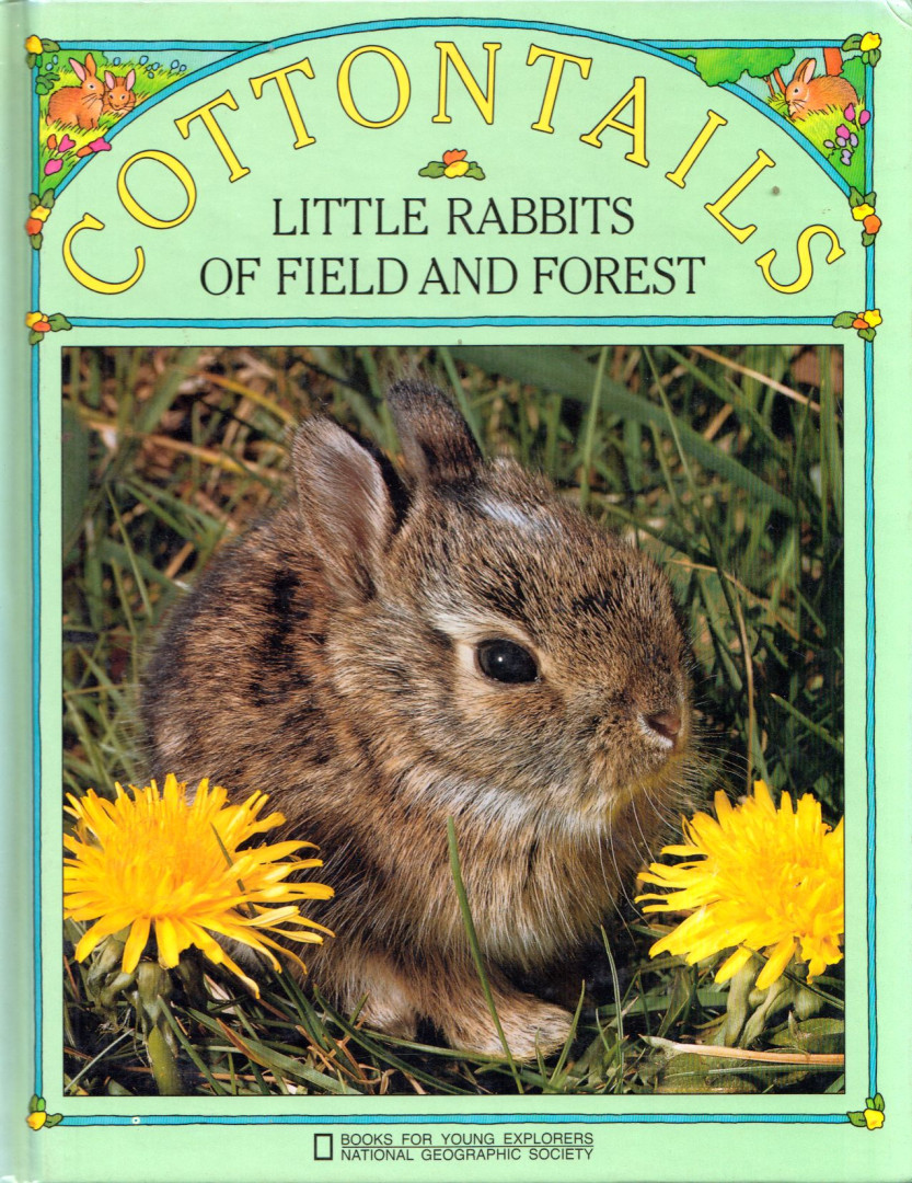 Ron Fischer - Cottontails: Little Rabbits of Field and Forest [antikvár]