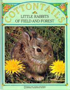 Ron Fischer - Cottontails: Little Rabbits of Field and Forest [antikvár]