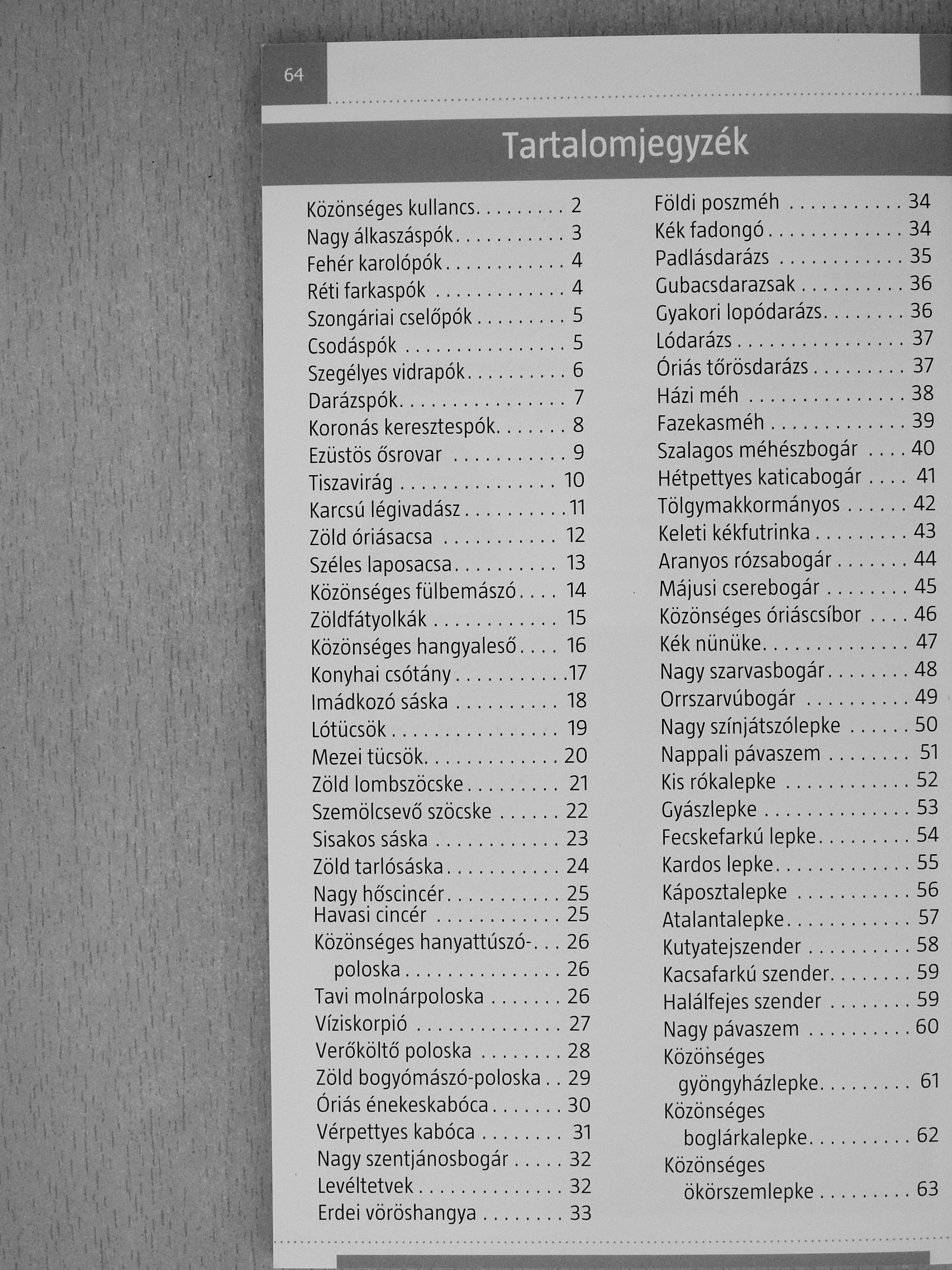 Dr. Kóbor Péter - Lepkék, bogarak és más ízeltlábúak [antikvár]