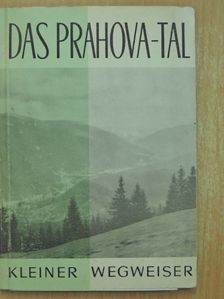 Costin Stefanescu - Das Prahova-Tal [antikvár]