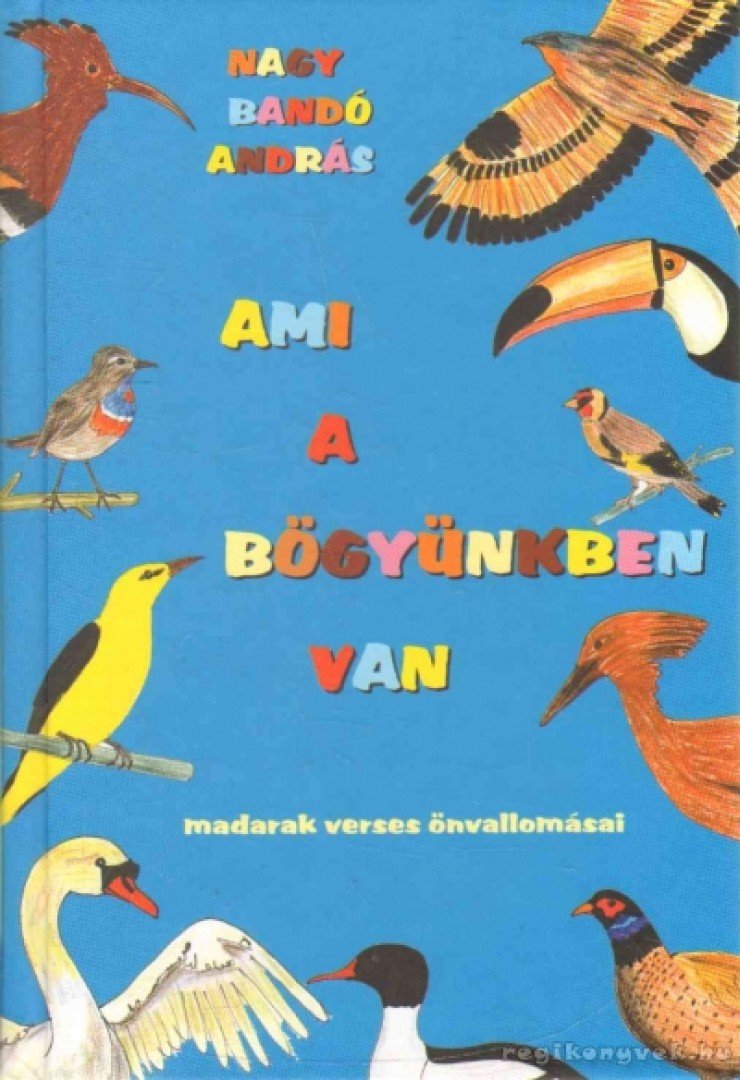 NAGY BANDÓ ANDRÁS - Ami a bögyünkben van [antikvár]