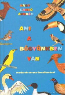 NAGY BANDÓ ANDRÁS - Ami a bögyünkben van [antikvár]