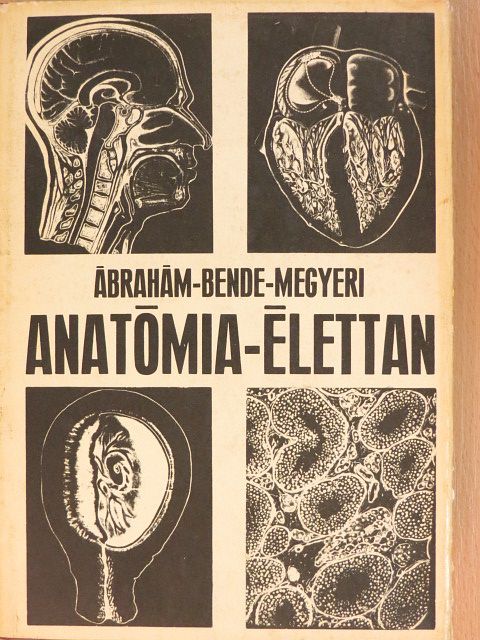 Dr. Ábrahám Ambrus - Anatómia-élettan [antikvár]