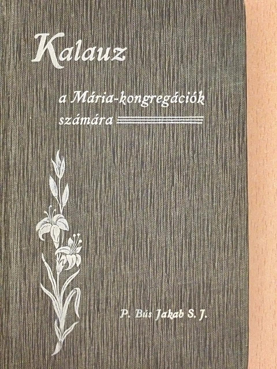 Bús Jakab S. J. - Kalauz  [antikvár]