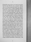 Czinki Ferenc - A pozsonyi metró [antikvár]