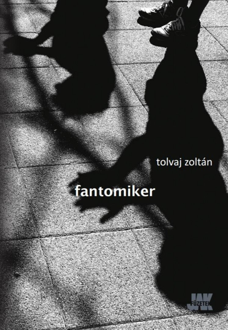 TOLVAJ ZOLTÁN - Fantomiker [antikvár]