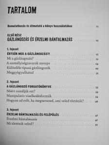 Deborah Vinall - Gázlángozás [antikvár]