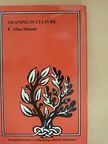F. Allan Hanson - Meaning in culture [antikvár]