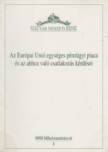 Kelen Zsuzsa - Az Európai Unió egységes pénzügyi piaca és az ahhoz való csatlakozás kérdései [antikvár]