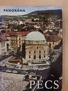 Dr. Kolta János - Pécs [antikvár]