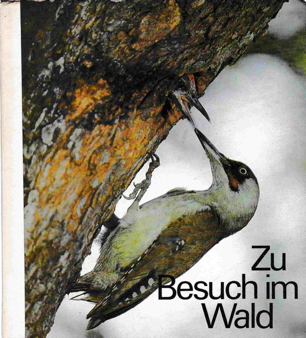 Autorenkollektiv - Zu Besuch im Wald [antikvár]