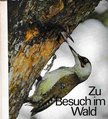 Autorenkollektiv - Zu Besuch im Wald [antikvár]