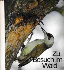 Autorenkollektiv - Zu Besuch im Wald [antikvár]