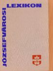 Allodiatorisz Irén - Józsefvárosi lexikon [antikvár]