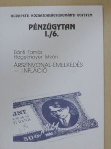 Bánfi Tamás - Pénzügytan I./6. [antikvár]