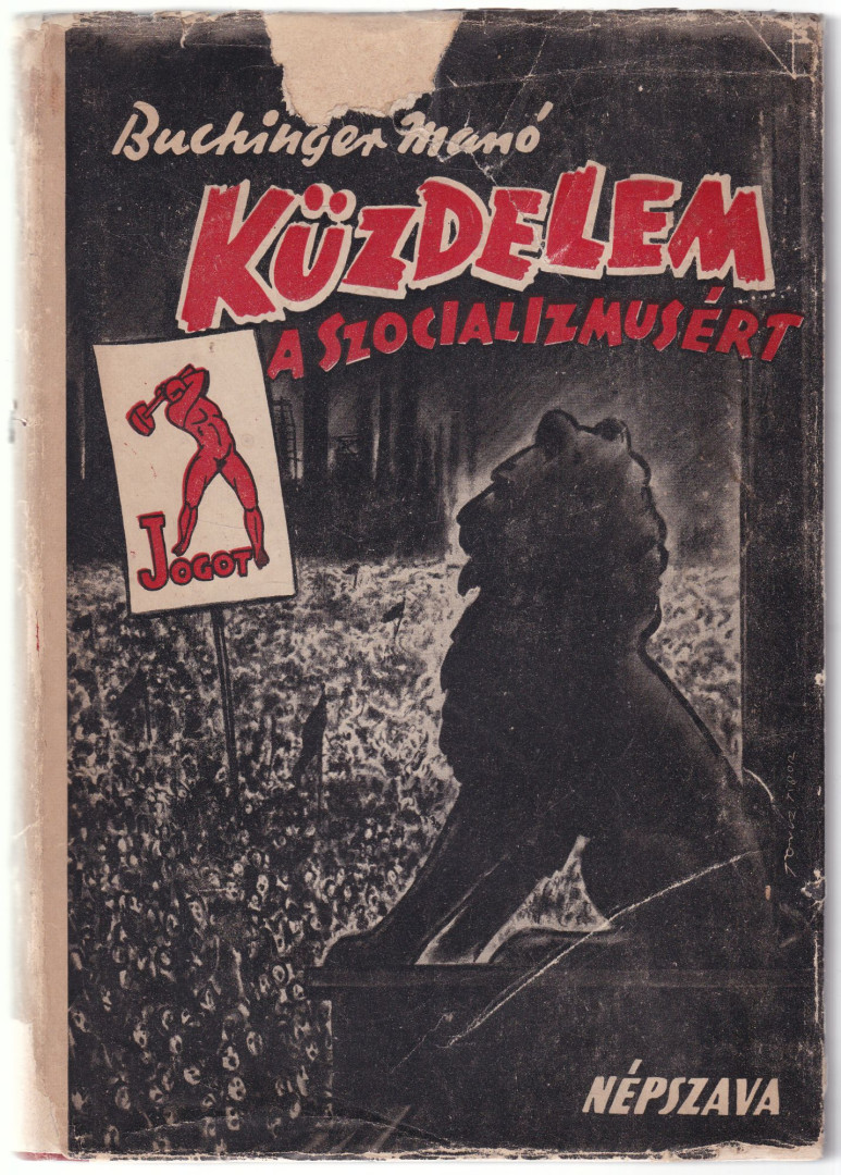 Buchinger Manó - Küzdelem a szocializmusért [antikvár]