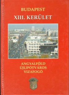 Sas György, Gellért Lajos, Gajdos Erzsébet, John Gabriella, Juhász Katalin - XIII. kerület [antikvár]