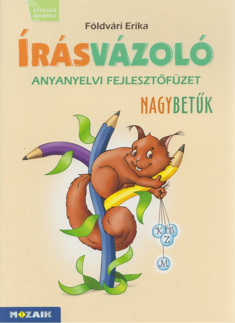 FÖLDVÁRI ERIKA - Írásvázoló - Nagybetűk [antikvár]