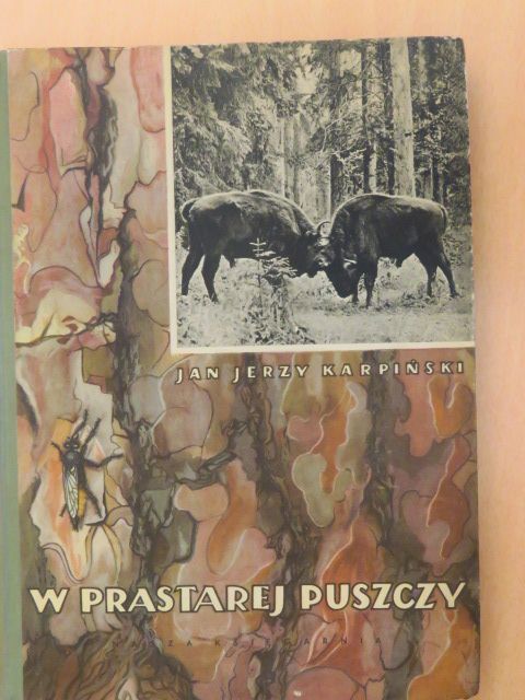 Jan Jerzy Karpinski - W Prastarej Puszczy [antikvár]