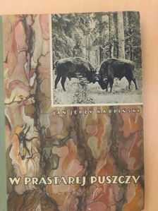 Jan Jerzy Karpinski - W Prastarej Puszczy [antikvár]