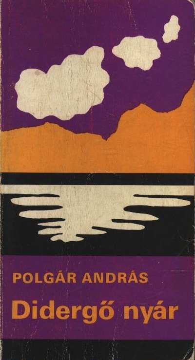 POLGÁR ANDRÁS - Didergő nyár [antikvár]