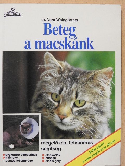 Dr. Vera Weingärtner - Beteg a macskánk [antikvár]