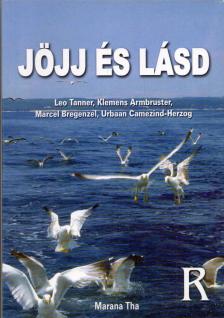 Leo Tanner, Klemens Armbruster, Marcel Bregenzel, Urbaan Camezind-Herzog - Jöjj ​és lásd – Résztvevők könyve [antikvár]
