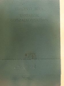 Cselényi Béla - Évszakok gipszalkonyatban [antikvár]