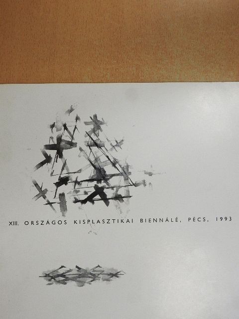 XIII. Országos Kisplasztikai Biennálé [antikvár]