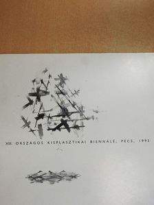 XIII. Országos Kisplasztikai Biennálé [antikvár]