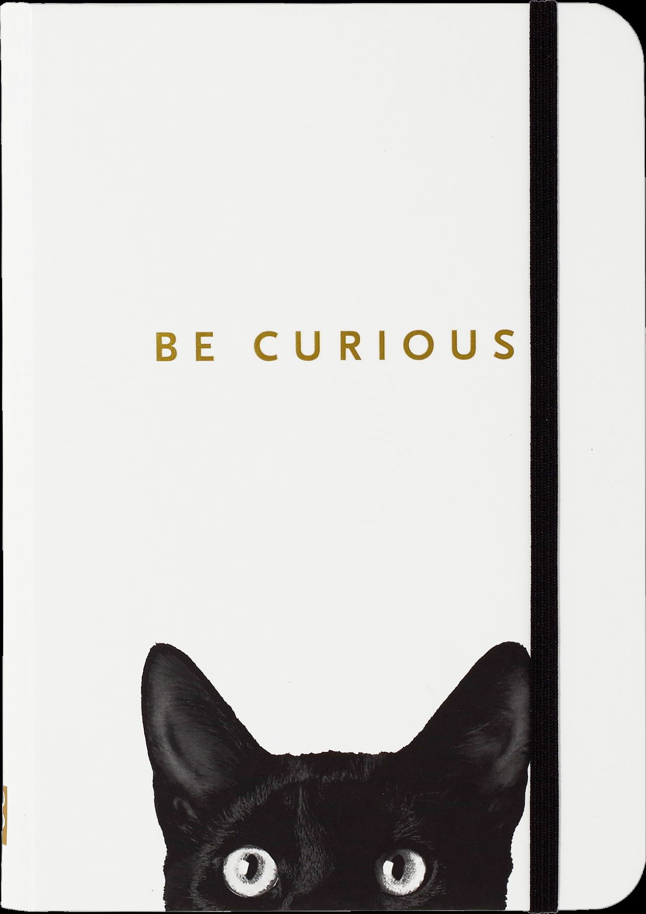 Peter Pauper notesz Curious cat vonalas