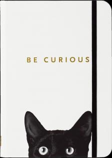 Peter Pauper notesz Curious cat vonalas
