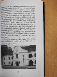 Pivárcsi István - Barangolások Kárpátalján [antikvár]
