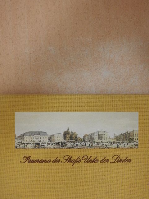 Winfried Löschburg - Panorama der Straße Unter den Linden [antikvár]