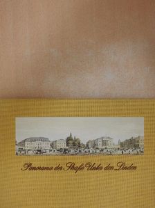 Winfried Löschburg - Panorama der Straße Unter den Linden [antikvár]
