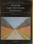 Moldován Domokos - Magyar naiv művészek nyomában [antikvár]