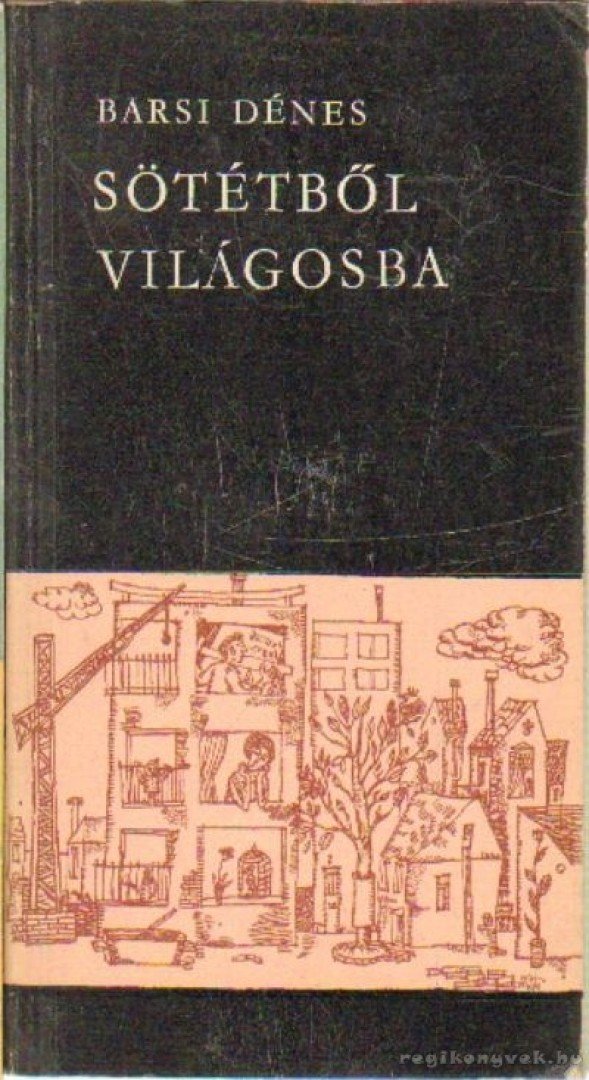 Barsi Dénes - Sötétből világosba [antikvár]