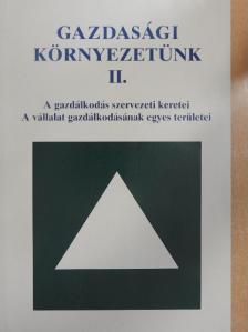Dr. Lázár Piroska - Gazdasági környezetünk II. [antikvár]