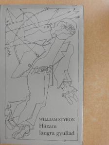 William Styron - Házam lángra gyullad [antikvár]