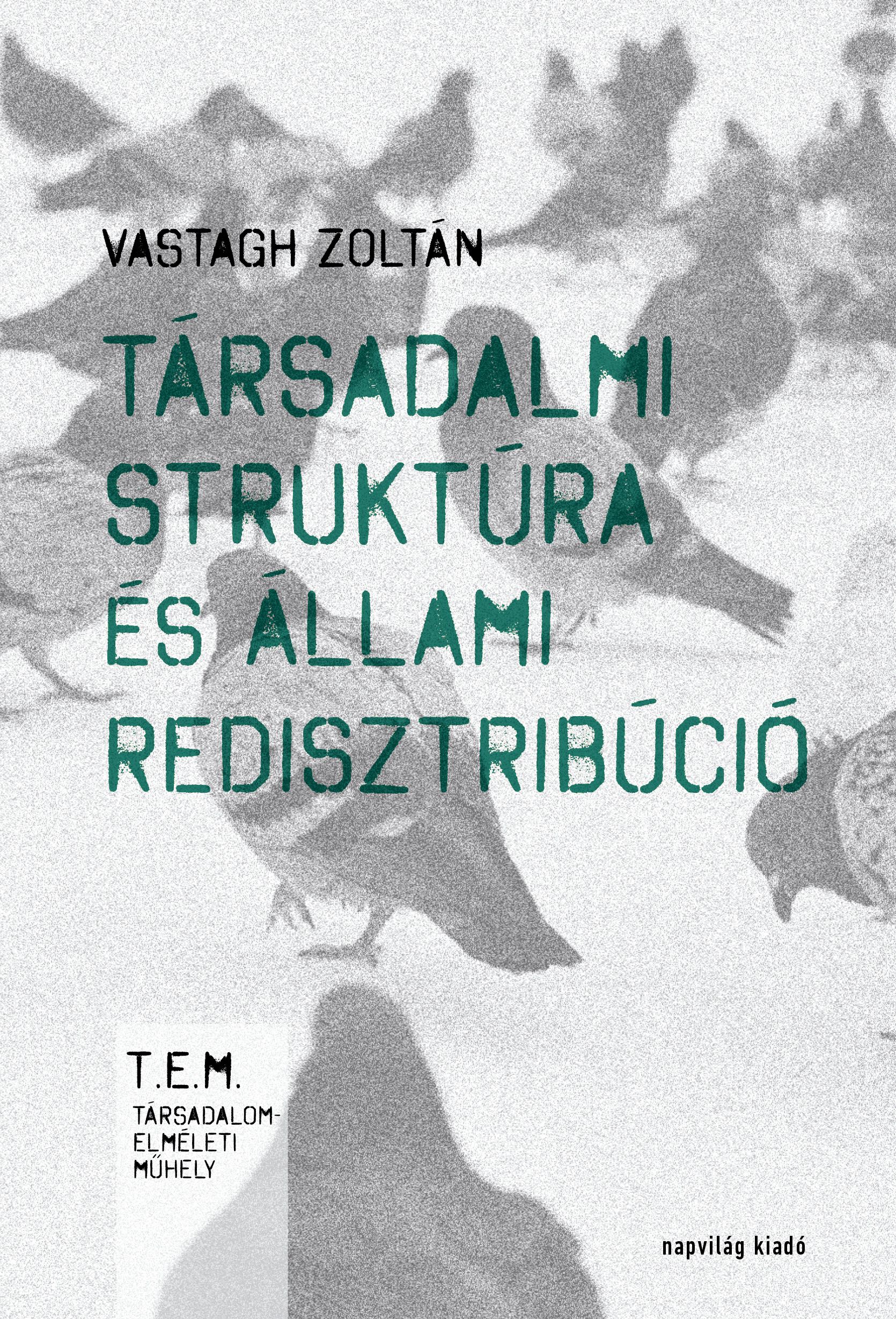 Vastagh Zoltán - Társadalmi struktúra és állami redisztribúció [eKönyv: epub, mobi]