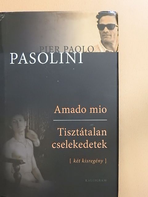 Pier Paolo Pasolini - Amado mio/Tisztátalan cselekedetek [antikvár]