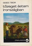 SEBES TIBOR - Tőzeget ástam Írországban [antikvár]