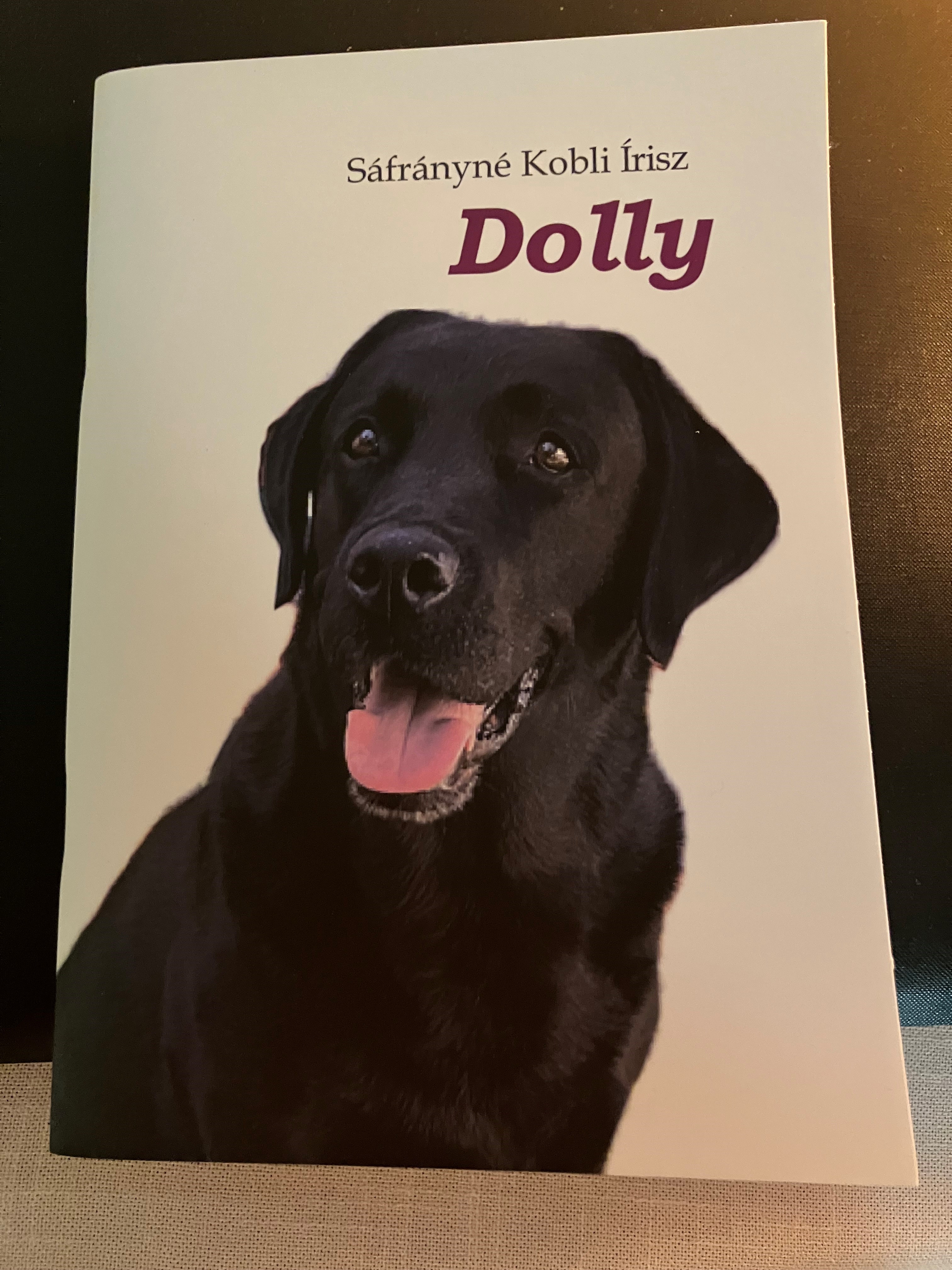 Kobli Írisz Sáfrányné - Dolly [eKönyv: epub, mobi]