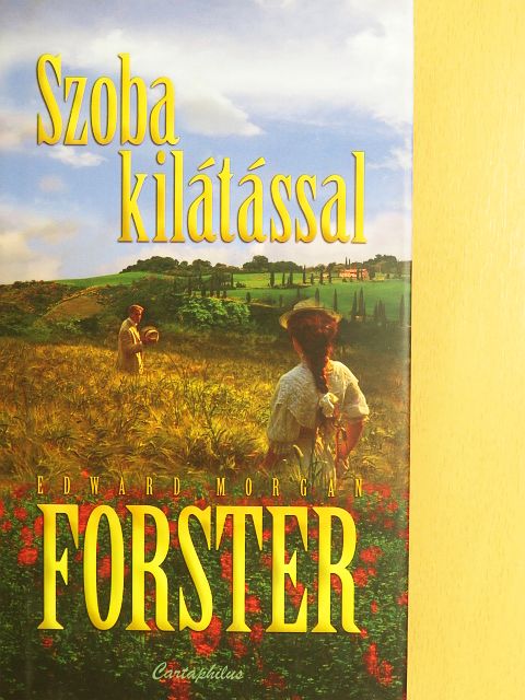 Edward Morgan Forster - Szoba kilátással [antikvár]
