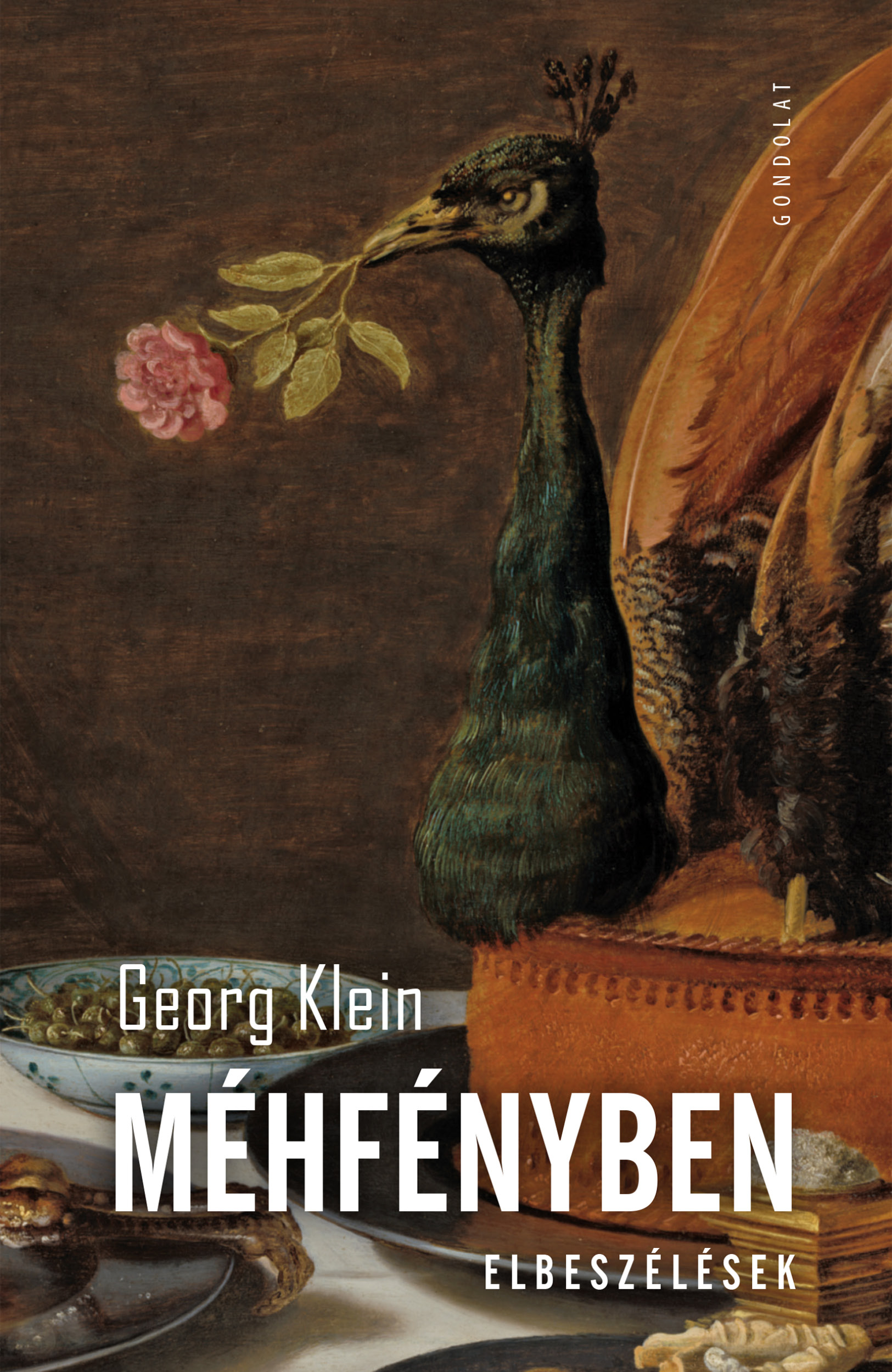 Georg Klein - Méhfényben